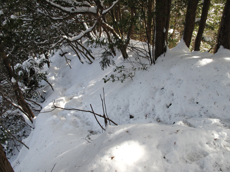 20140211hike (200)